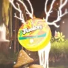 Fusion Cactus Cooler Gummies